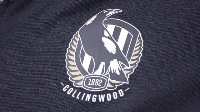 Collingwood staffer quits after alcohol-fuelled event