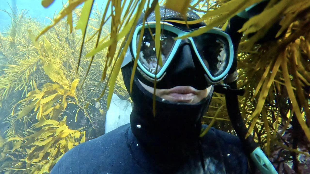 From goggles and floaties to using AI to save sea lions