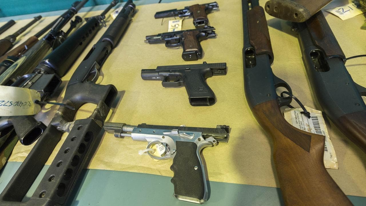 Non-citizens could be barred from holding gun licence