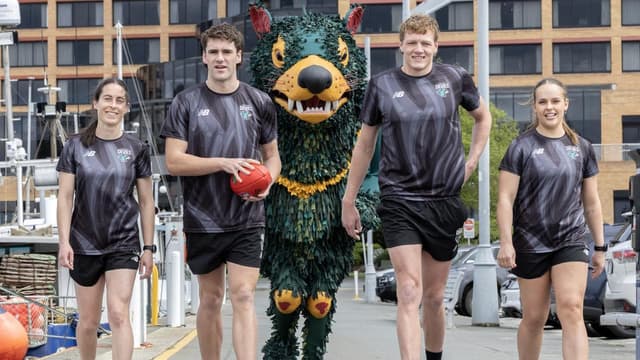 List, draft concessions for AFLW Devils revealed