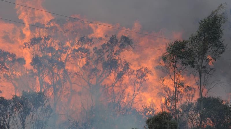 'True champion': tributes flow for firefighter killed