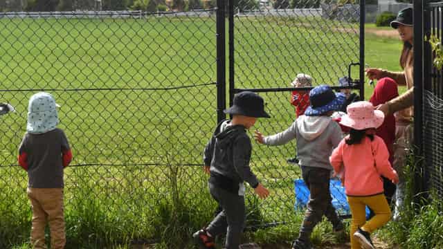 Call to recognise Indigenous skills of early educators