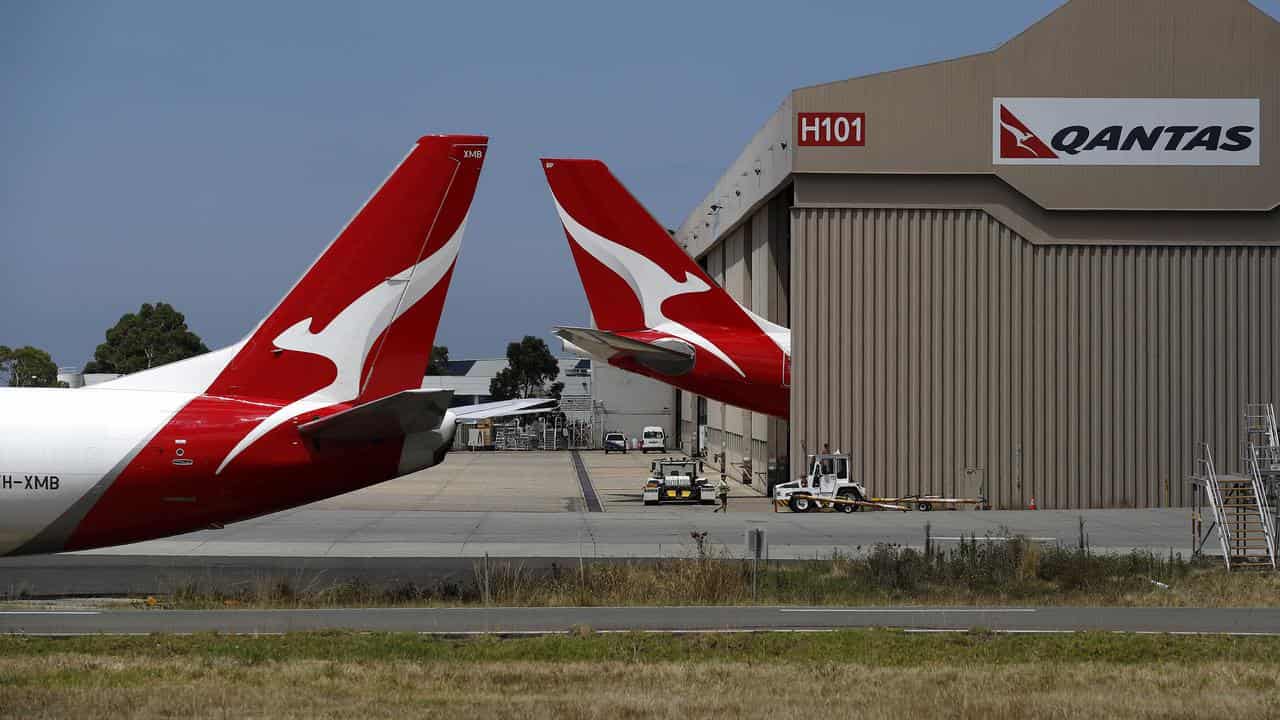 Qantas reports sky-high profit and plans more flights