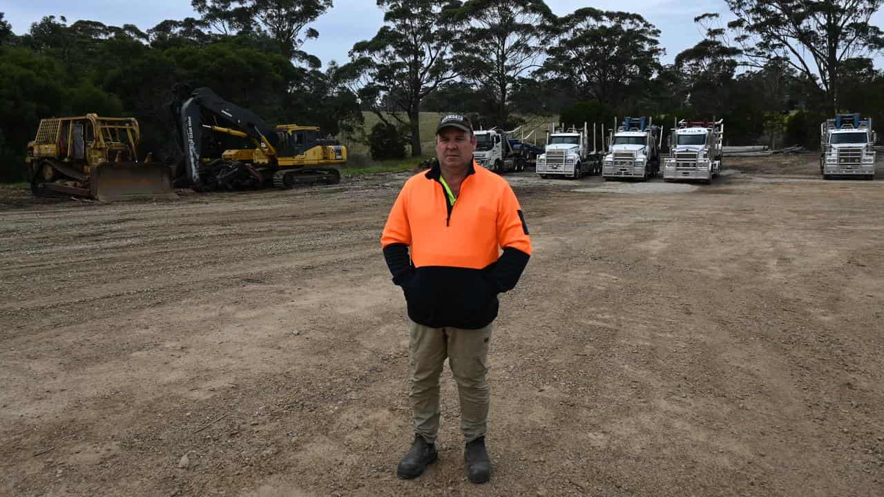 Early axing of logging falls hard on timber towns