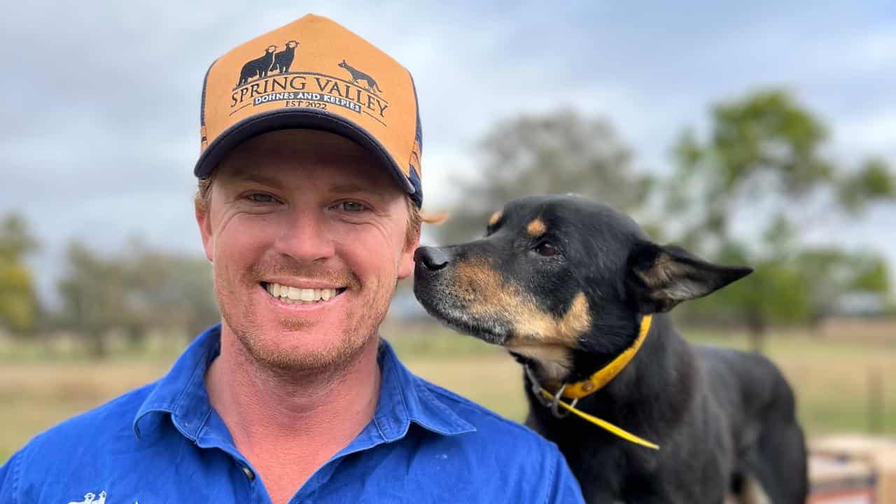 Pups go turbo for international working dog challenge