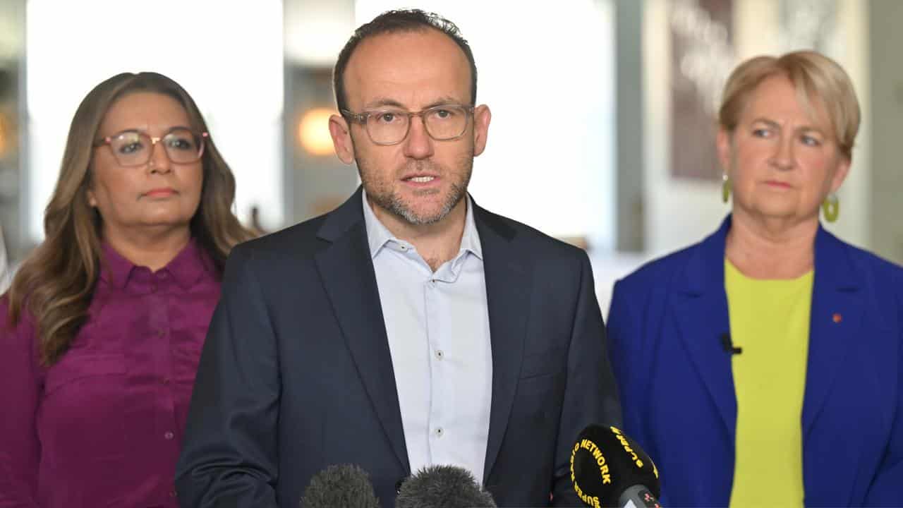 Greens await Thorpe claim as Bandt notes party racism