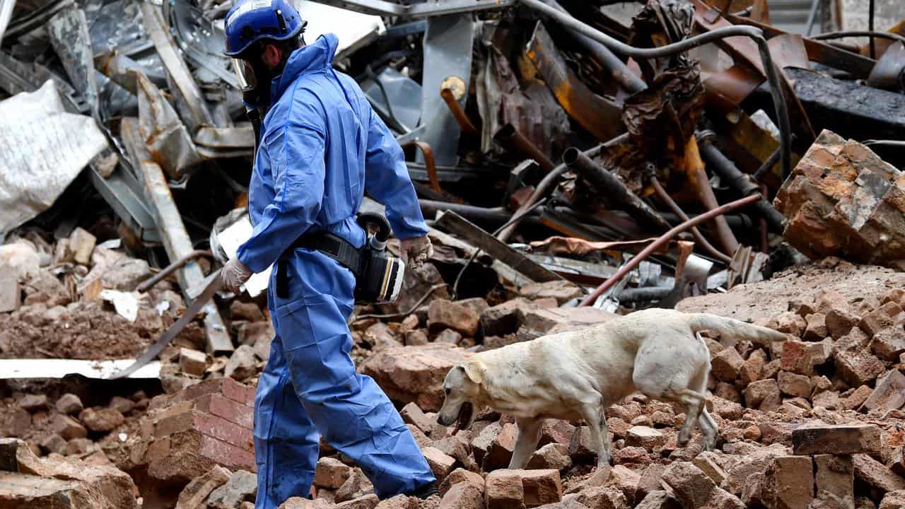 Cadaver dog enters razed site of Sydney factory fire