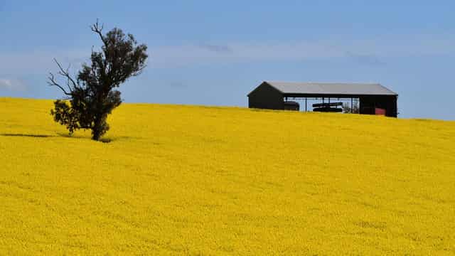 Drier conditions to drive down agricultural production