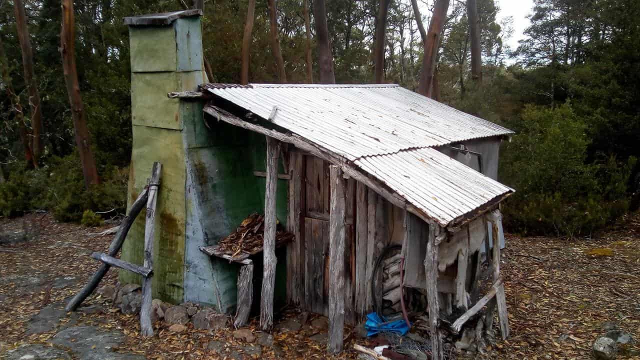 Decision looms in battle over Tasmania's wild heart