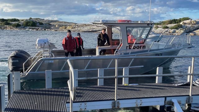 Missing Tasmania divers safe after drifting for hours