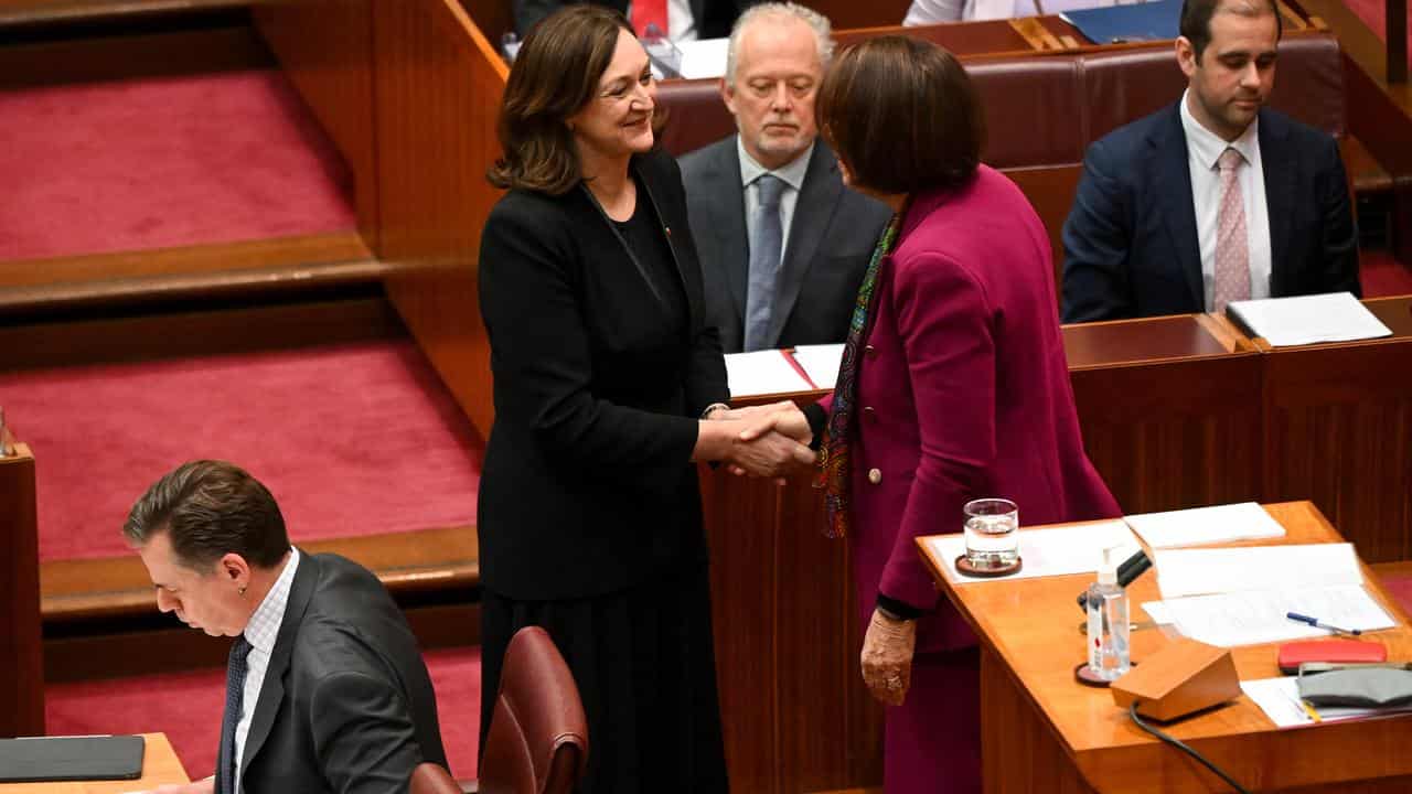 Maria Kovacic sworn in as NSW's newest senator