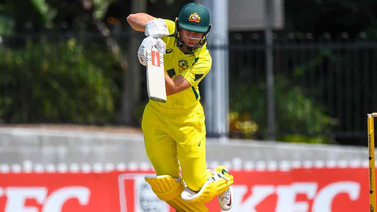 Litchfield open to tough role on Ashes 'dream' tour