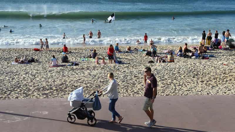 Elderly man dead after alleged tourist strip assault