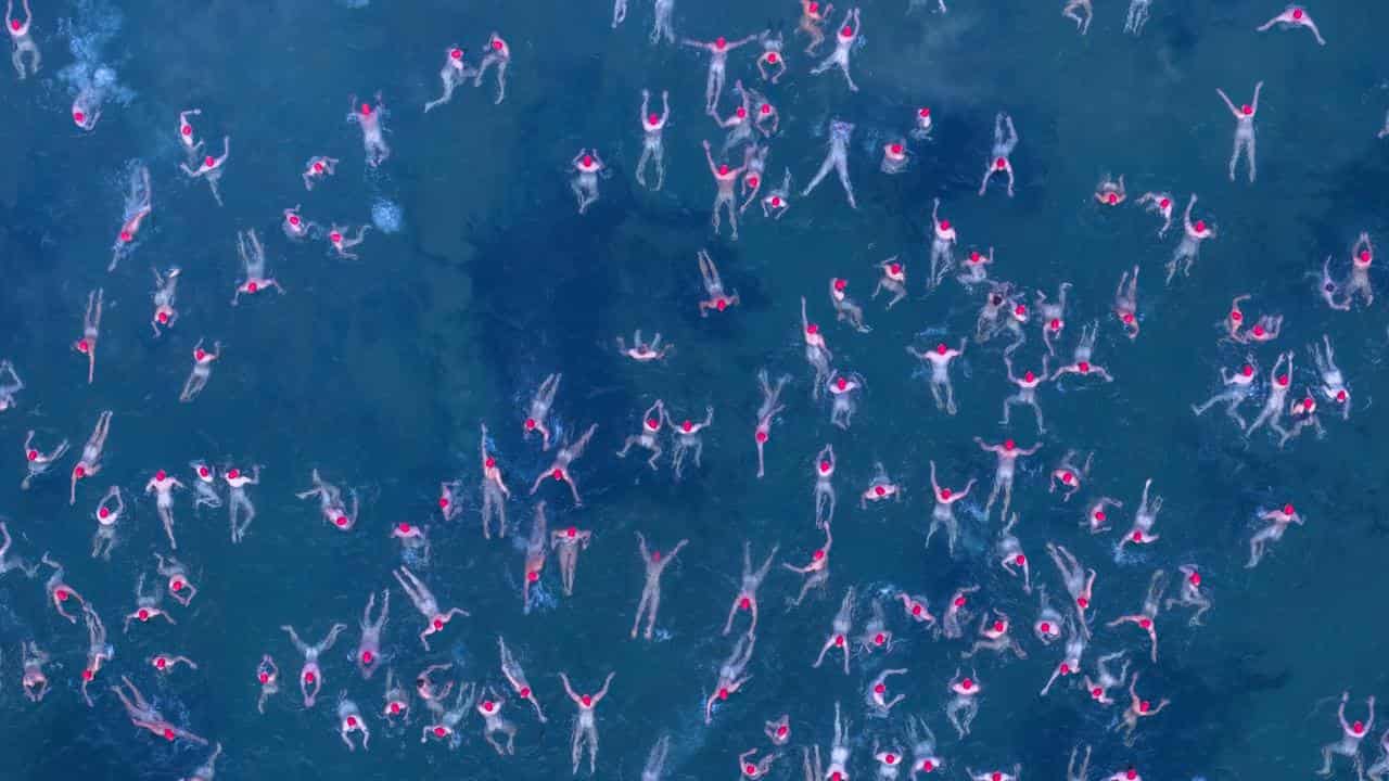 Hobart festivalgoers, Antarctic crew take icy dip