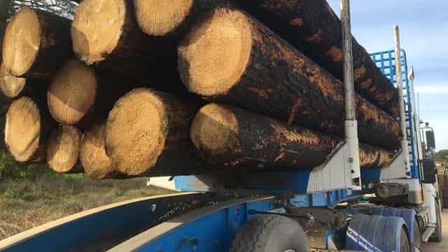 Forestry operator fails to monitor logging compliance