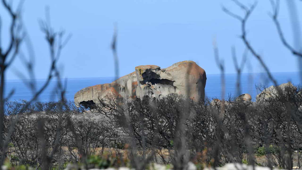 New management plan for Kangaroo Island bushfires