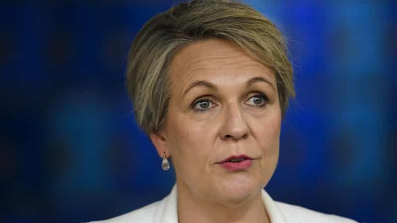 'Nature positive' laws in Australia's future: Plibersek