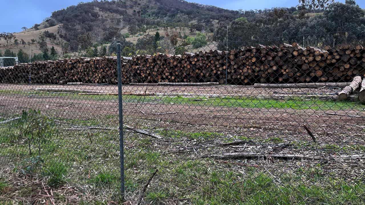 VicForests loses appeal against logging bans