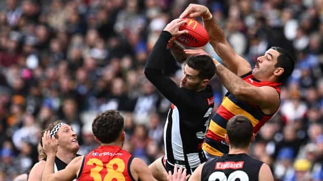 Lowly North similar to pacesetters Collingwood: Nicks