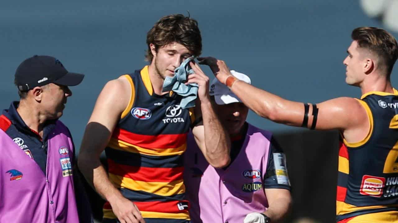 Adelaide to draw from far and wide to fill AFL void