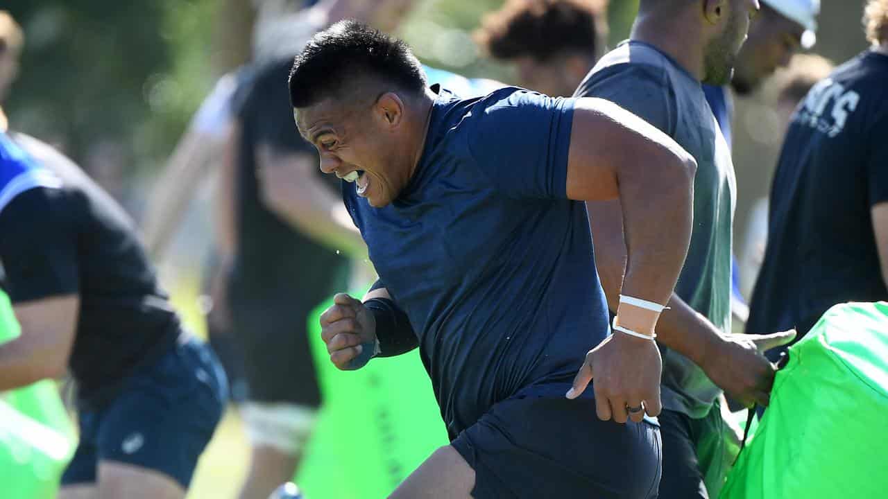 Alaalatoa set to add starch to Wallabies pack for Boks