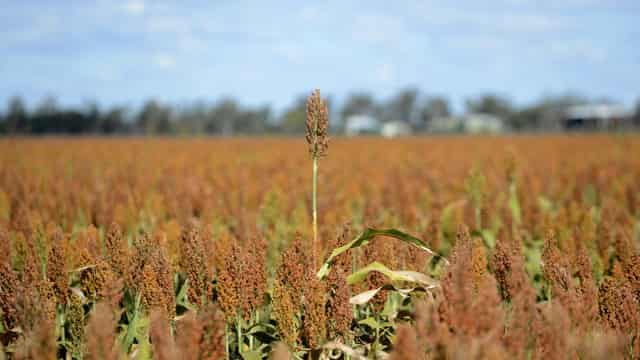 Aussie farmers 'lead world' in sustainable agriculture