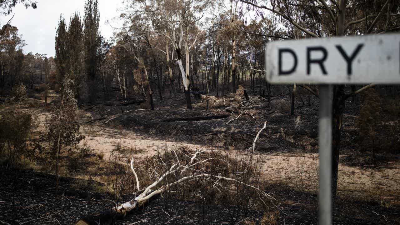 Nation put on high alert as El Nino warnings heat up