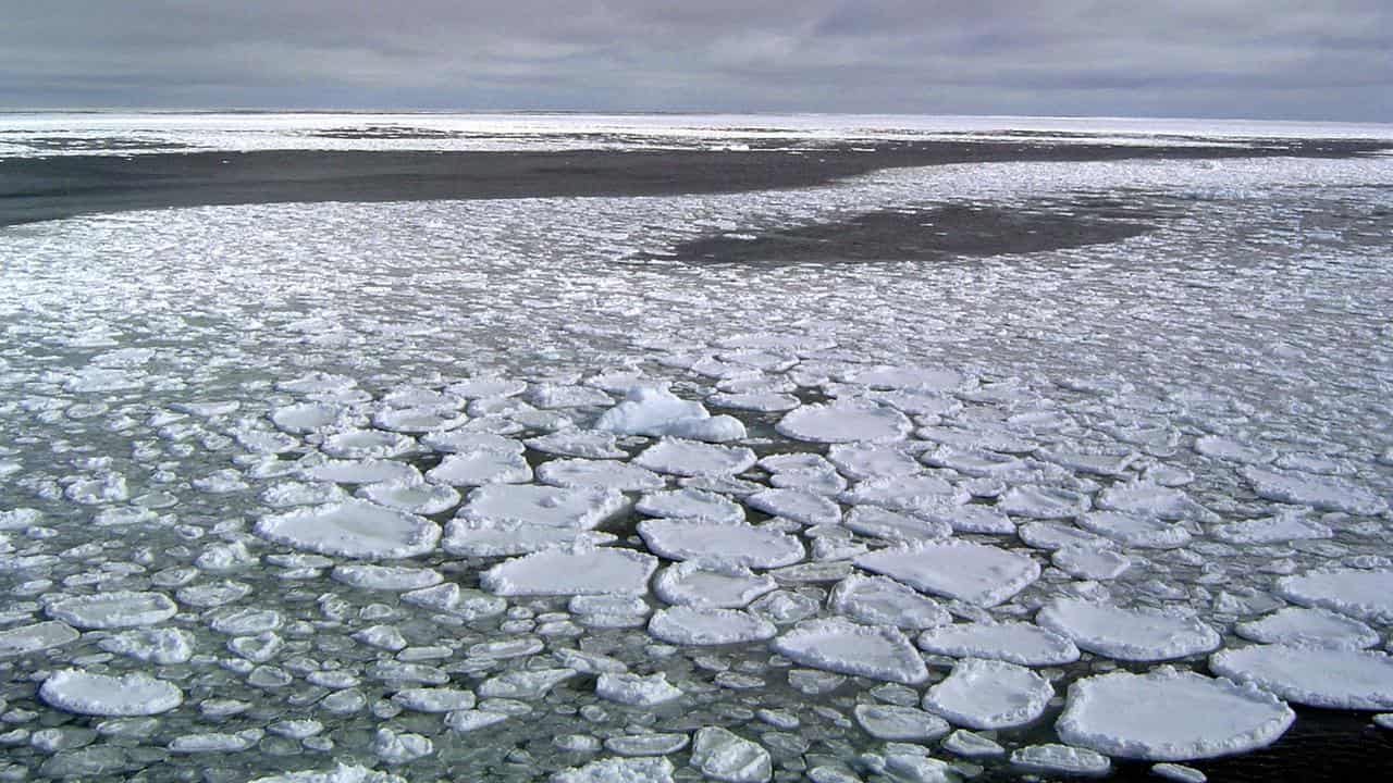 Earth hits unofficial record high temperature