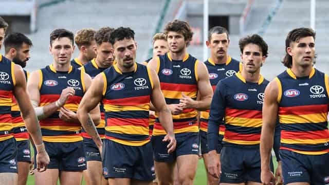 Adelaide brace for litmus test against Essendon: Nicks