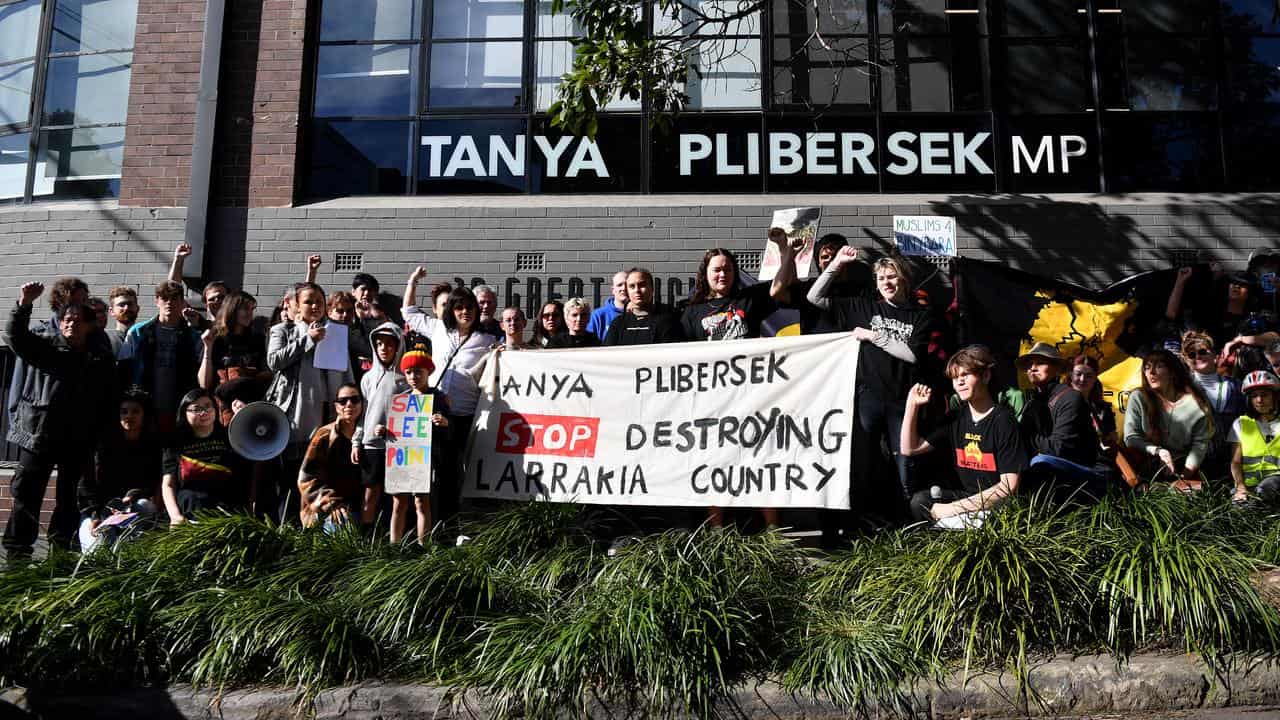 Protest calls on Plibersek to save 400-year-old trees