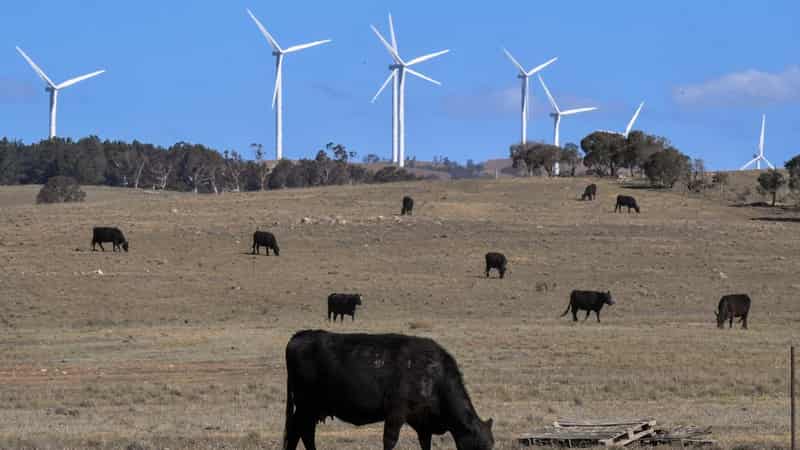 Qld to roll out 'renewable zones' in clean power push