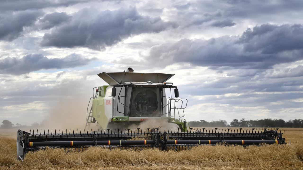 Farmers better at managing downside of climate change