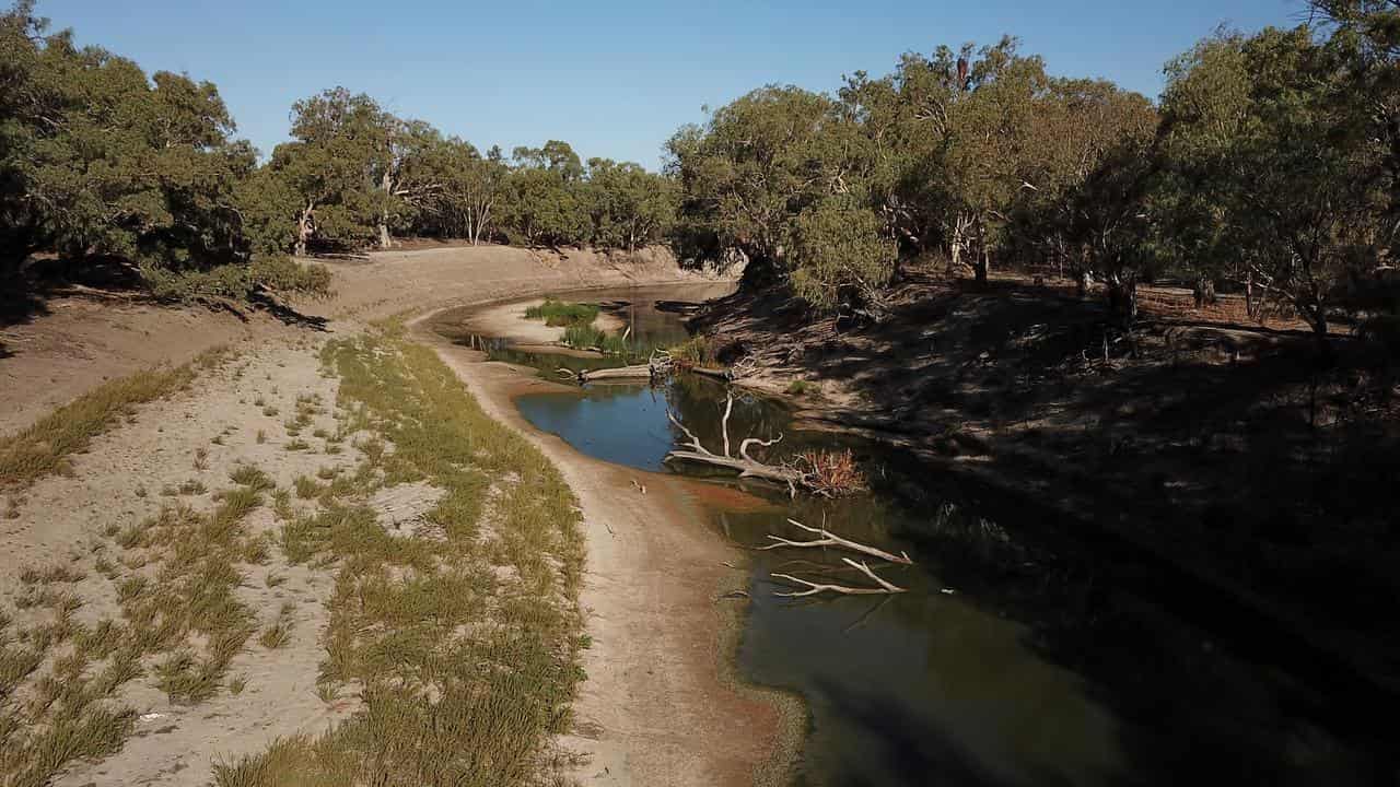 Drain on Murray-Darling Basin risks 140 species: report