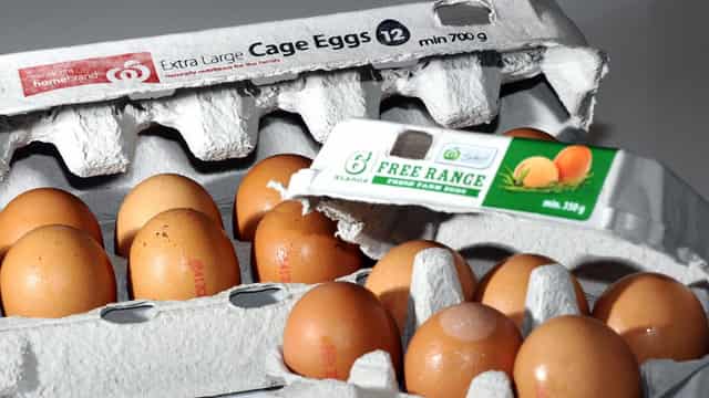 Slow boil for caged eggs ban as cracks show in timeline