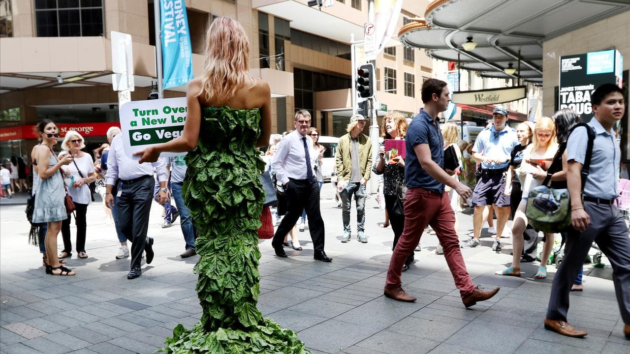 Charges after activists storm restaurant banning vegans