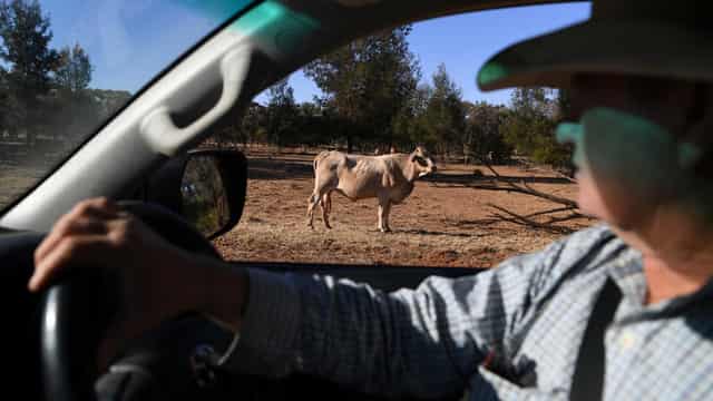 Farmers urged to always 'stay on the safe side' of life