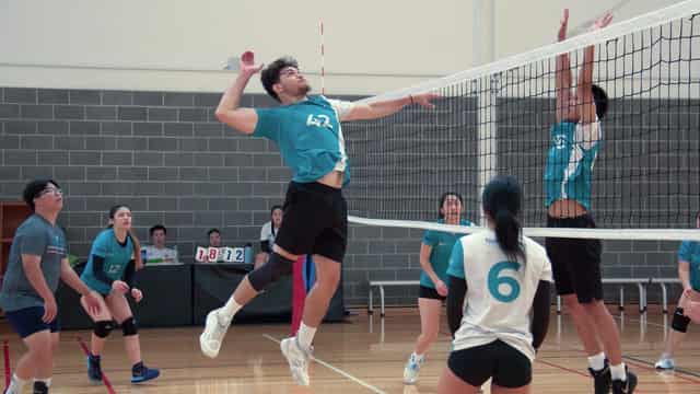 Hit Japanese anime has Australians digging volleyball