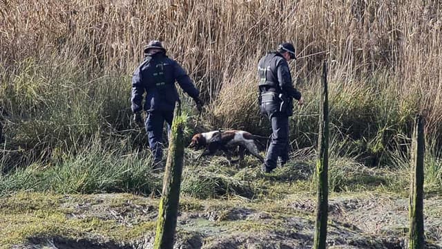 Remains found in search for missing teenager