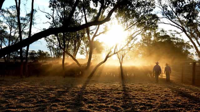 Living and learning on the land a lot for bush families