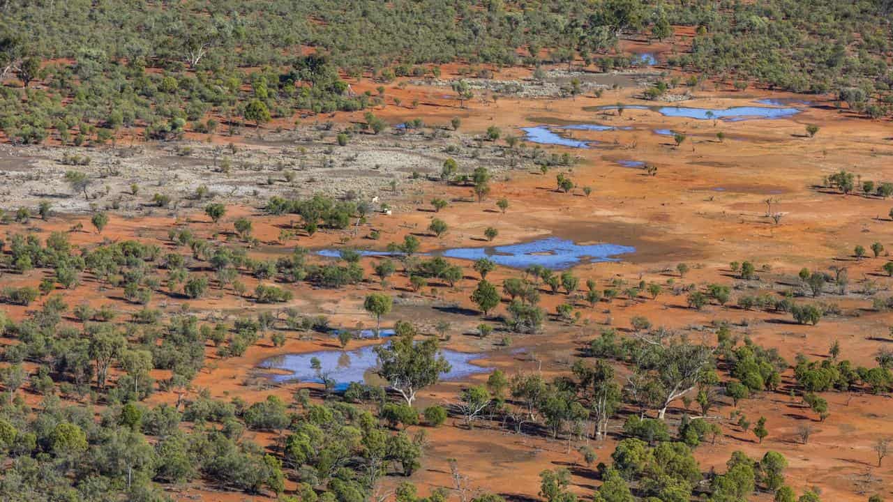 Outback station to become protected bird haven