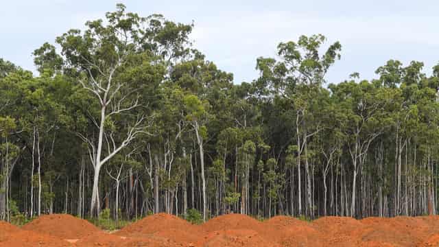 Land-clearing slows but Great Barrier Reef fears remain