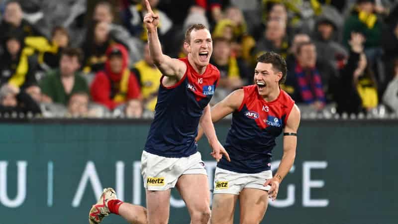 Remade forward Petty stars in Demons' win over Richmond