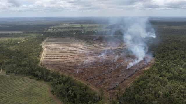 Land equal to 350 CBDs cleared in NSW each year