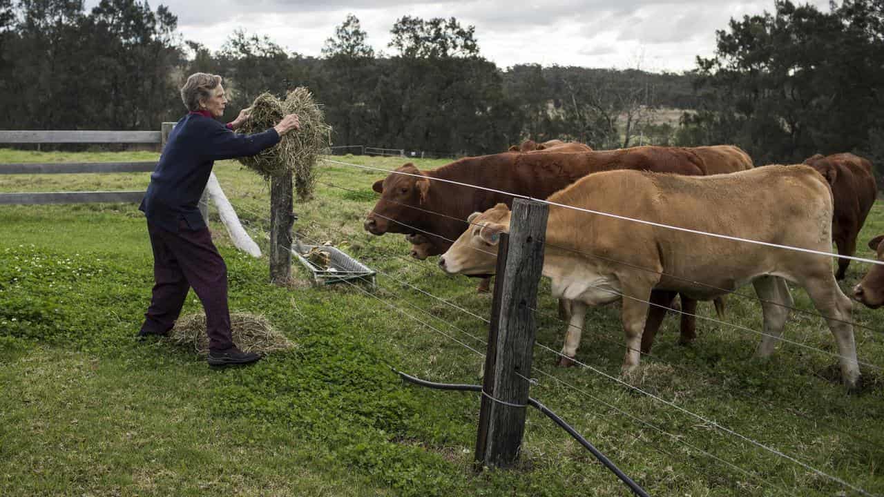 'Fierce' farmer and environmentalist Wendy Bowman dies