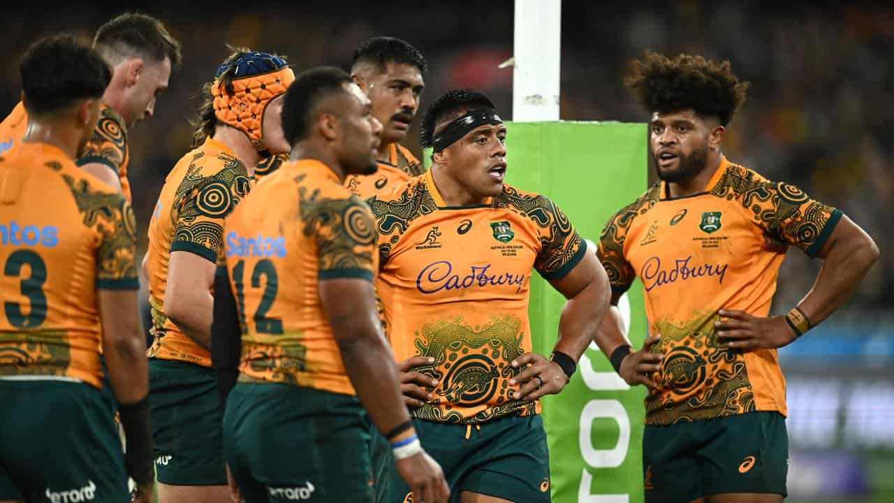 Crunch time as Wallabies look to lift in Bledisloe Cup