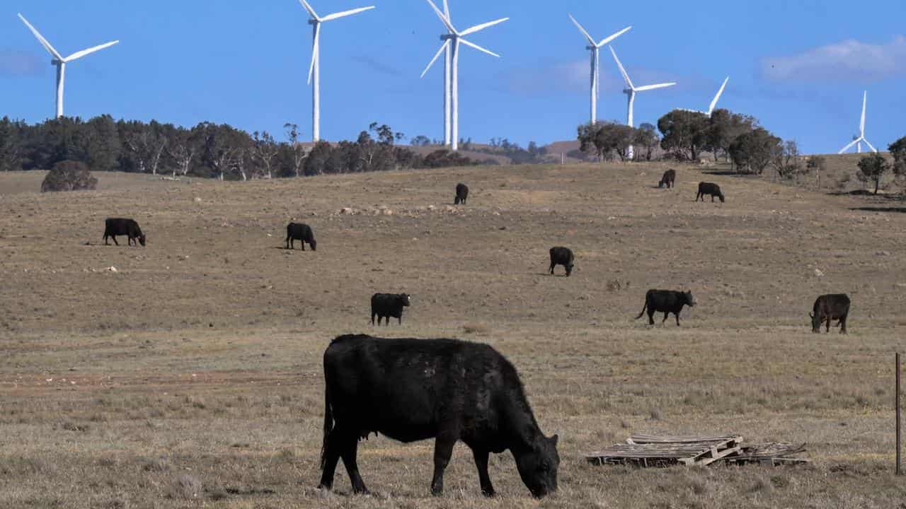 Manufacturing Australia's answer to the climate crisis