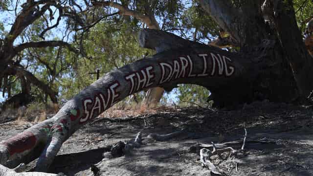 Victoria accused of sabotaging Murray-Darling plan