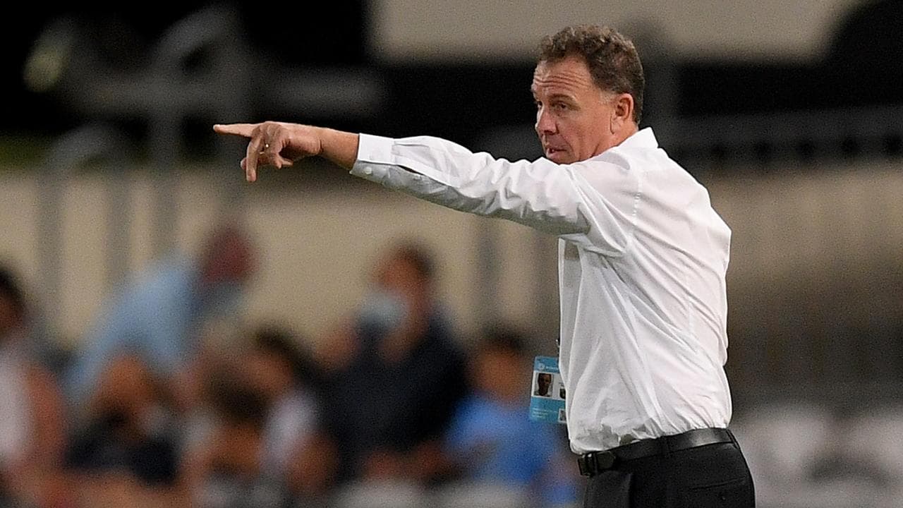 Former Matildas coach Alen Stajcic to lead Perth Glory