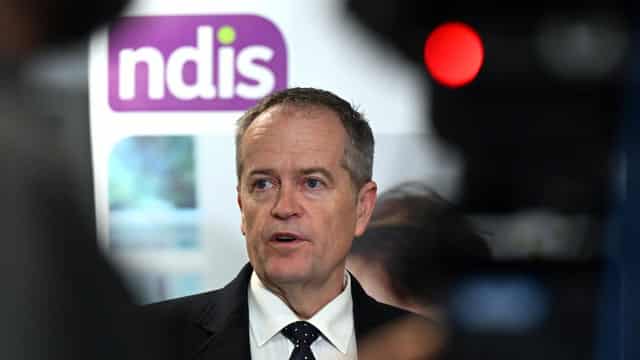 Fraud squad tackles NDIS rorts as payments skyrocket