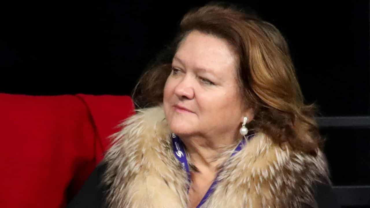 Gina Rinehart's son's fight for mining riches revealed